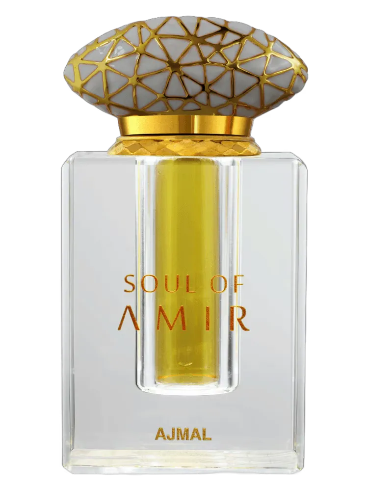 Soul Of Amir