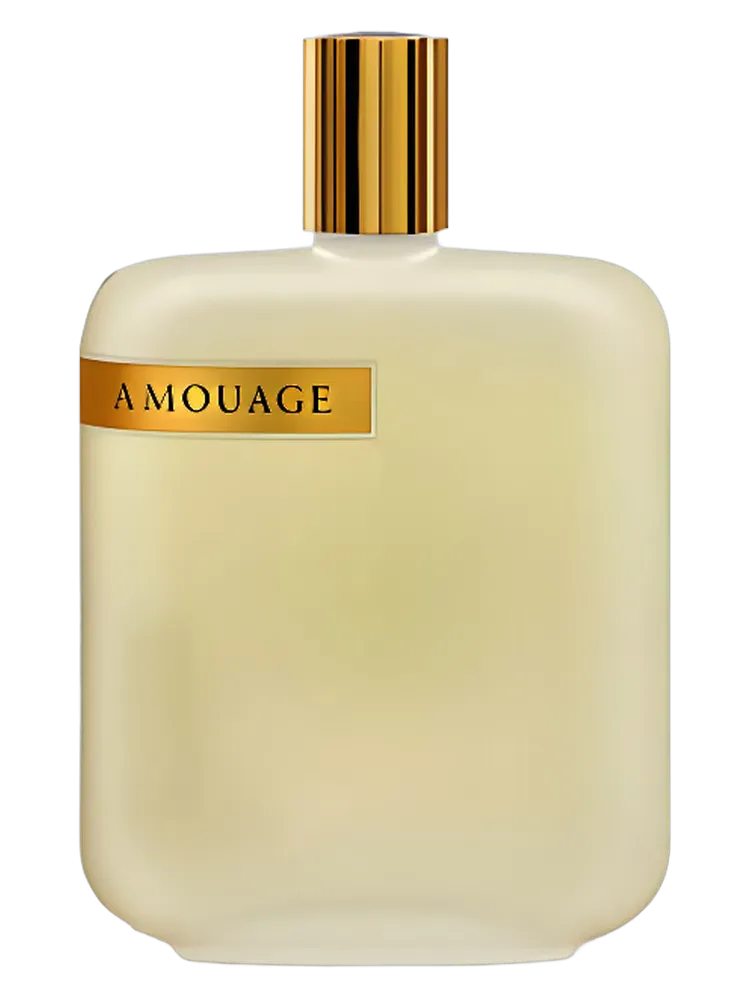 The Library Collection Opus II by Amouage