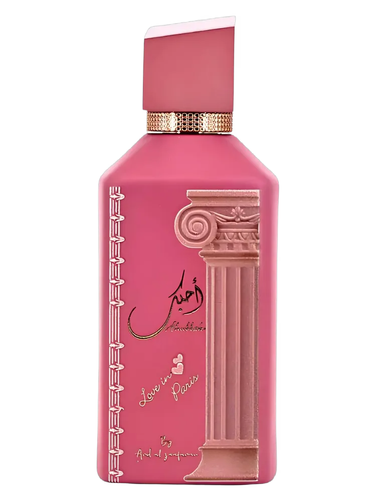 Ahubbak Love In Paris