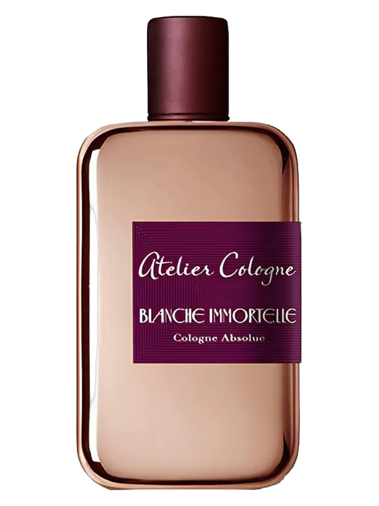 Blanche Immortelle