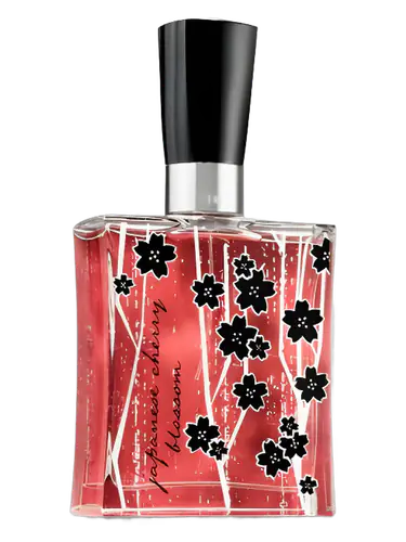 Japanese Cherry Blossom