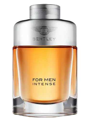 Bentley for Men Intense