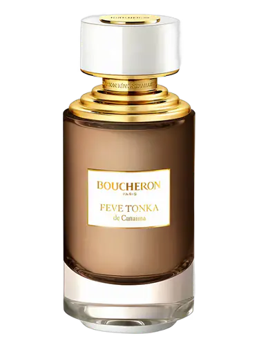 Fève Tonka de Canaima