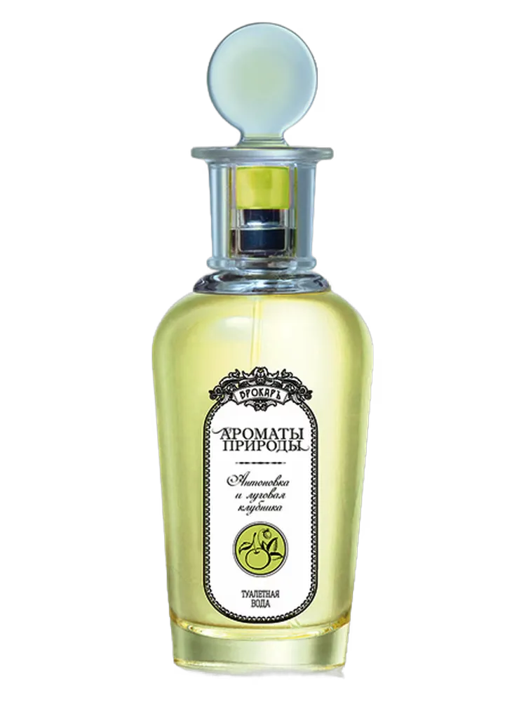 Антоновка и луговая клубника - Antonovka and Wild Strawberry