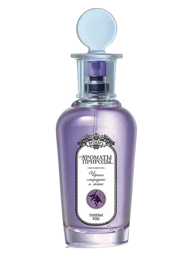 Черная смородина и мята - Black currant and Mint