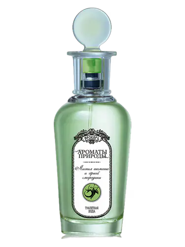 Листья томата и черной смородины - Tomato and Black Currant Leaves