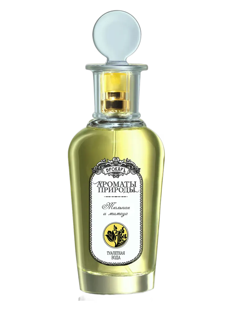 Тюльпан и мимоза - Tulip and Mimosa