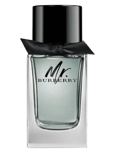 Mr. Burberry