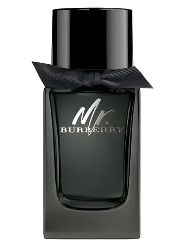 Mr. Burberry Eau de Parfum