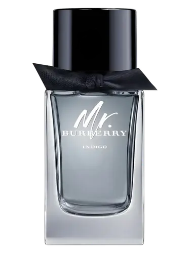 Mr. Burberry Indigo