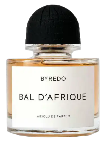 Bal d'Afrique Absolu