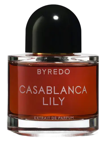 Casablanca Lily 2019