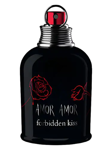Amor Amor Forbidden Kiss