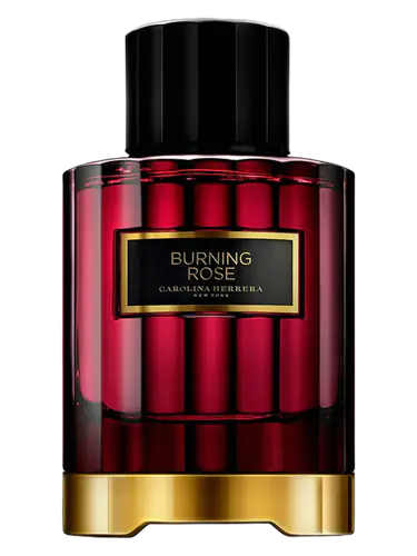 Burning Rose