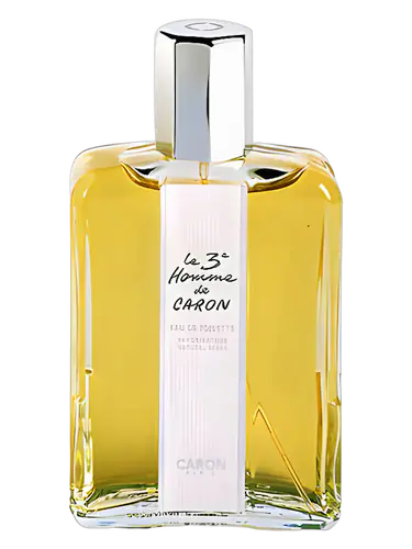 Le 3e Homme de Caron