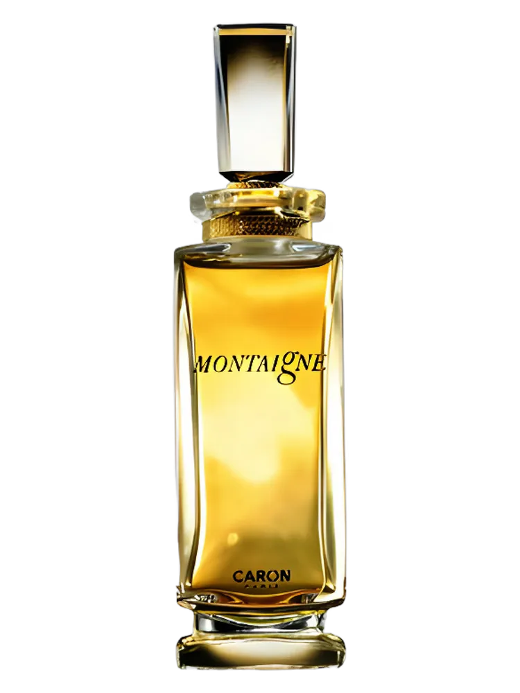 Montaigne