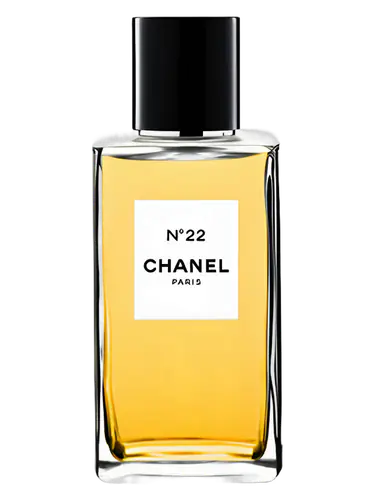 Les Exclusifs de Chanel No 22