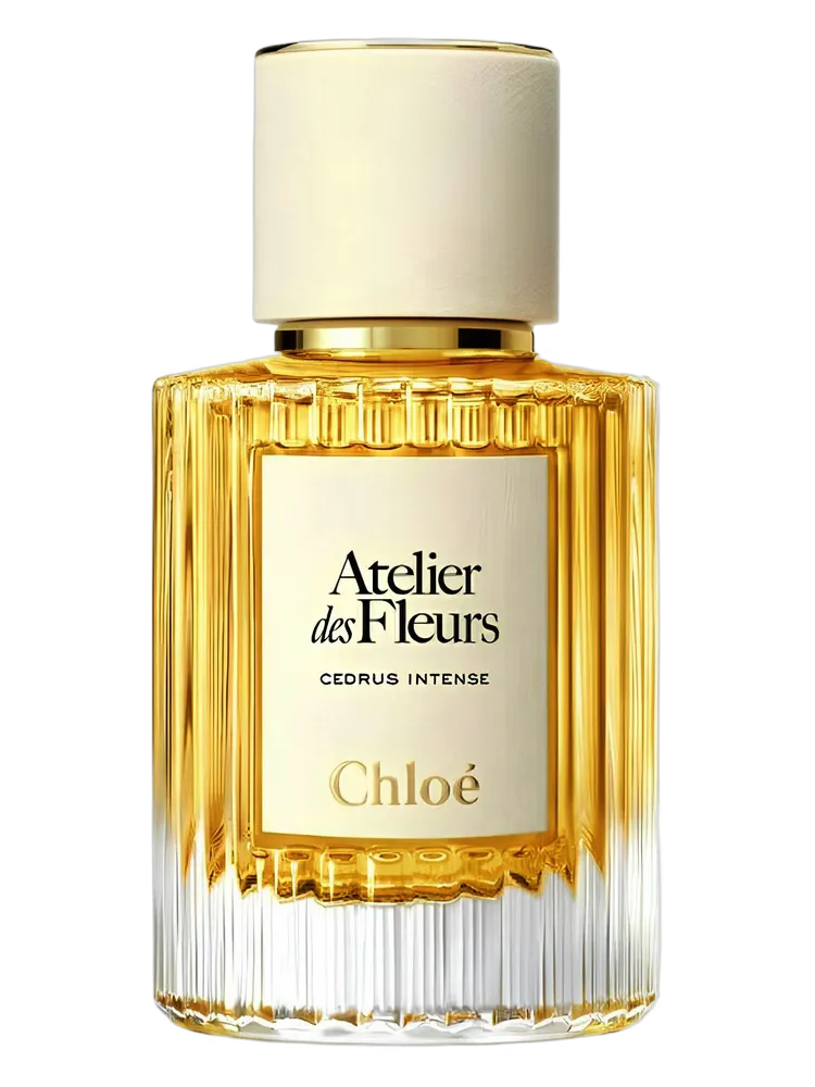 Cedrus Intense by Chloé