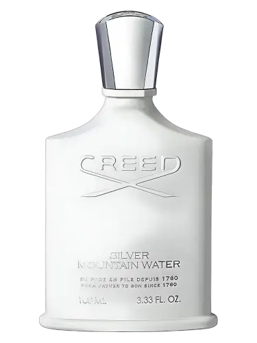 Silver Mountain Water