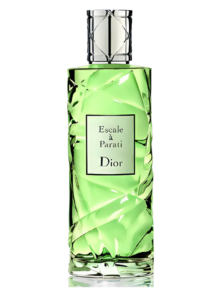 Cruise Collection Escale a Parati by Dior
