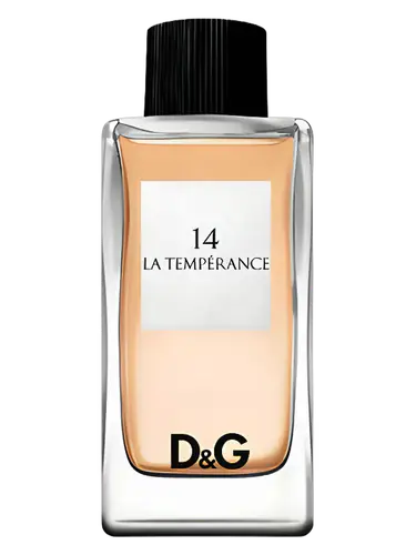 D&G Anthology La Temperance 14