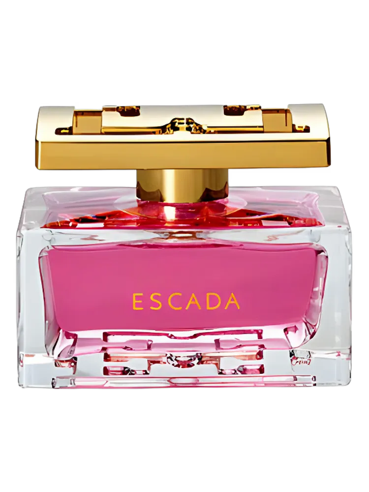 Especially Escada