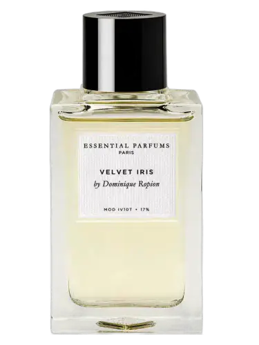 Velvet Iris