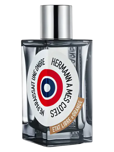 Hermann à mes Côtés me Paraissait une Ombre