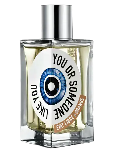 You Or Someone Like You