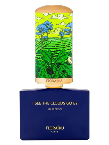 I See the Clouds Go By