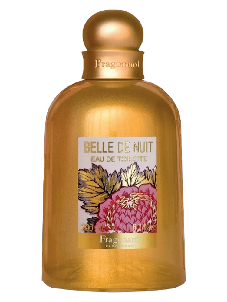 Belle de Nuit