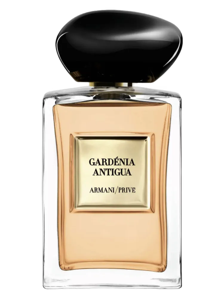 Gardénia Antigua