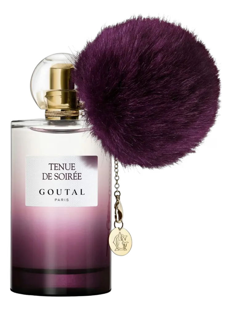 Tenue de Soiree