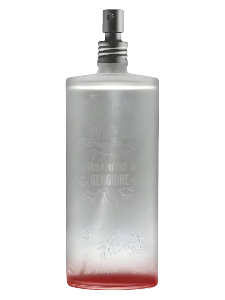 Cardamomo & Gengibre