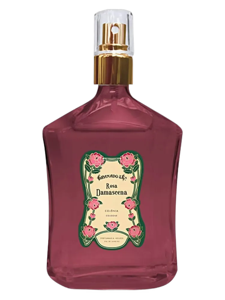 Rosa Damascena