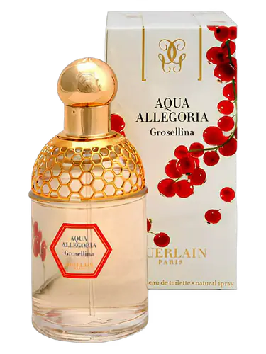 Aqua Allegoria Grosellina