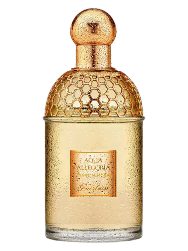 Aqua Allegoria Tiare Mimosa