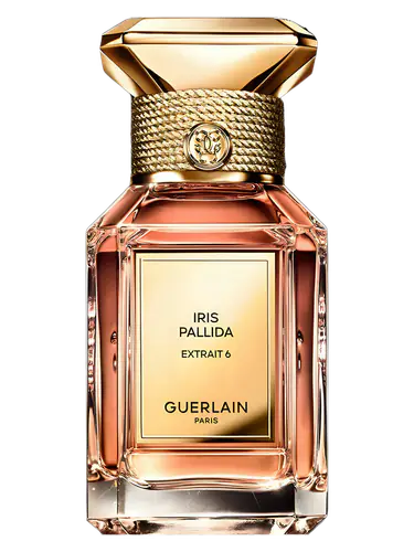 Iris Pallida Extrait 6