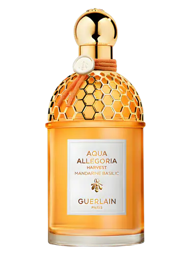 Mandarine Basilic Harvest