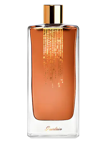 Songe d'un Bois d'Ete