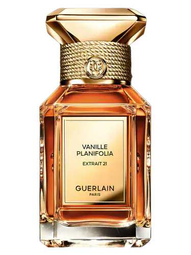 Vanille Planifolia Extrait 21