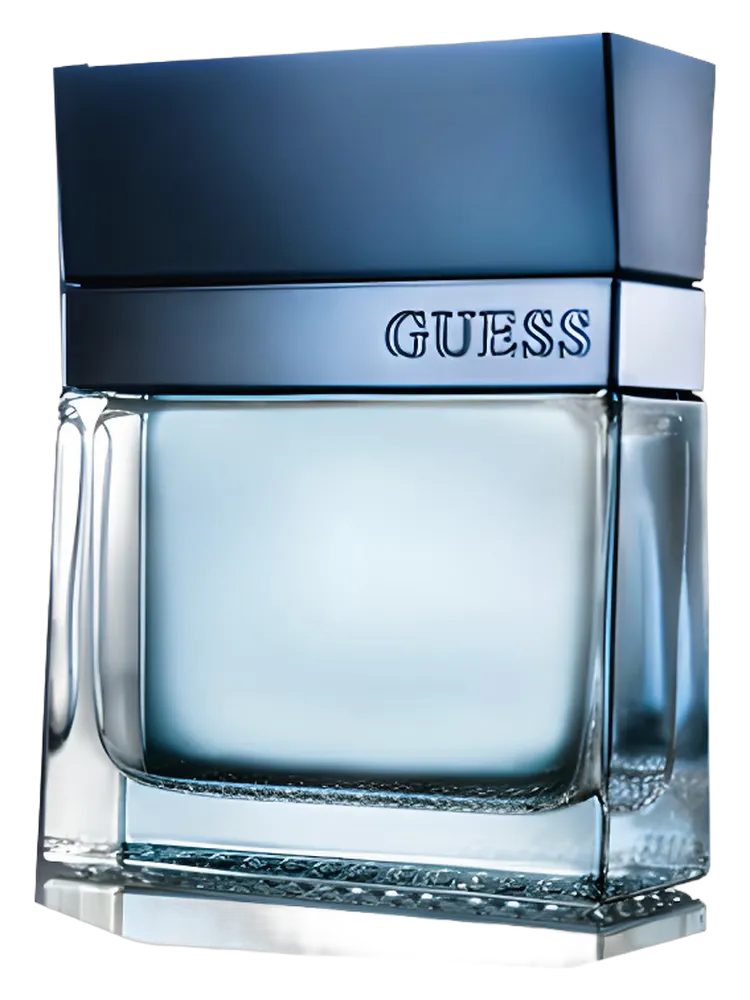Guess Seductive Homme Blue