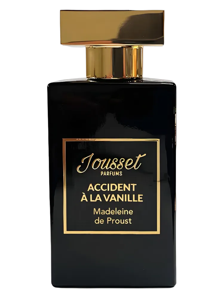 Accident À La Vanille - Madeleine de Proust