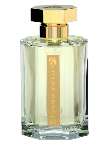 Havana Vanille (Vanille Absolument)