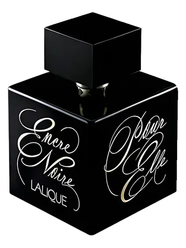 Encre Noire Pour Elle