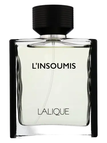 L'Insoumis
