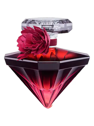 La Nuit Trésor Intense