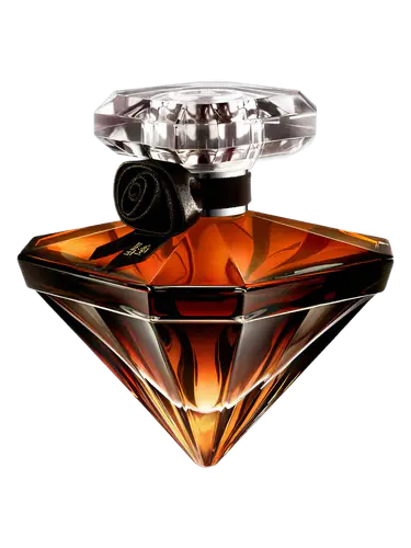 La Nuit Trésor Vanille Noire