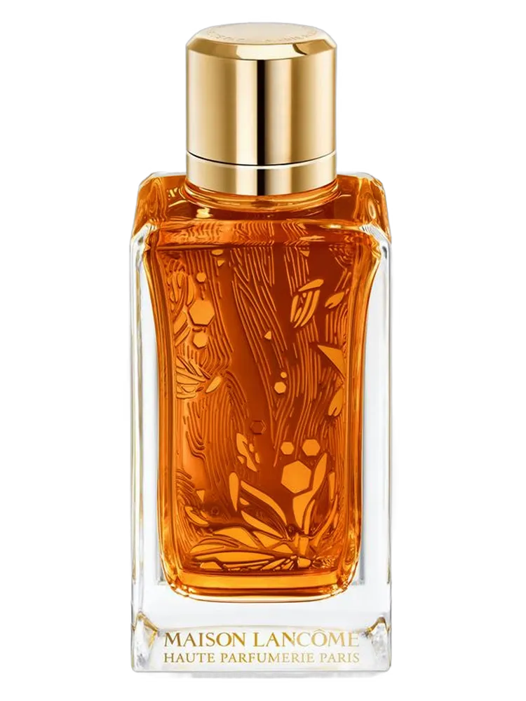 Oud Ambroisie by Lancôme