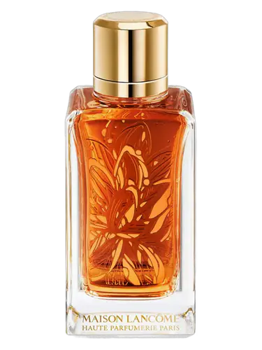 Tubéreuses Castane